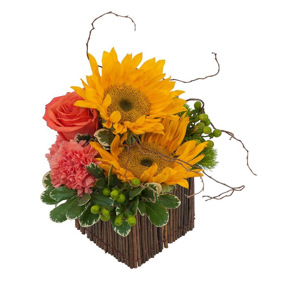 Oh, Happy Day. - A cute pair of Sunflowers or Gerber Daisies will be used depending on availability with a few carnations, roses, hypericum and variegated pittosporum greens with curly wood accents to tie it all together. Nestled inside a reusable rustic container.  (Florist choice of flower colors.) (Flower choices may vary depending on availability)