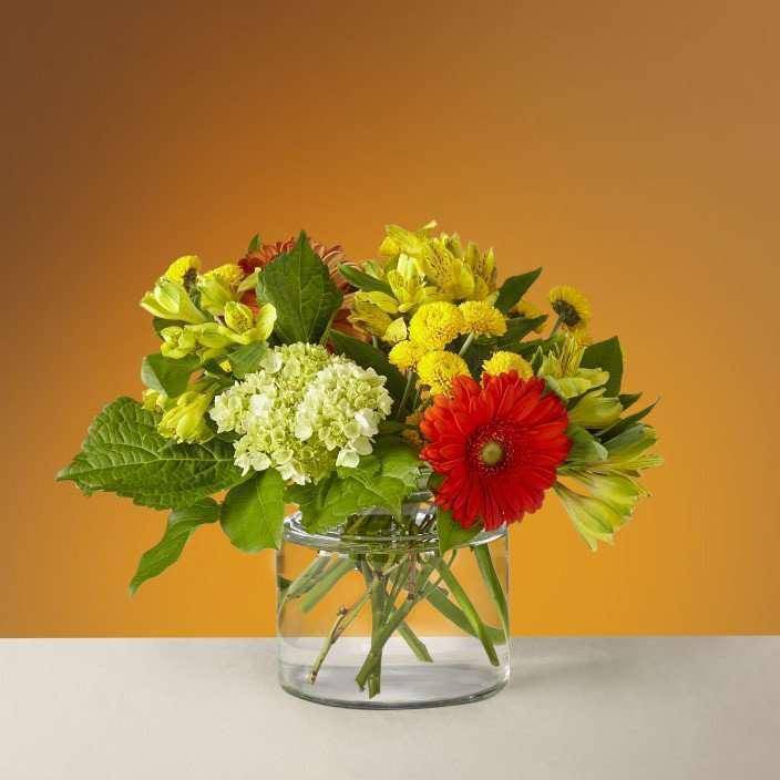 Autumn Glow Bouquet - As the days get shorter, brighten your home with the Autumn Glow bouquet filled with fresh, green hydrangea and vibrant orange Gerbera daisies. Remind a friend that the sun is still out, and there's fun left to be had in the fall.   --   As the days get shorter, brighten your home with the Autumn Glow bouquet filled with fresh, green hydrangea and vibrant orange Gerbera daisies. Remind a friend that the sun is still out, and there's fun left to be had in the fall.