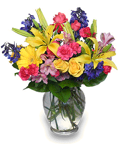 Sunny Day Sunny Day - A spring mix bouquet to help bring the spring sunshine inside. Lilies, Alstroemeria, Delphinium, and other spring flowers will be the perfect way to brighten someone's day!