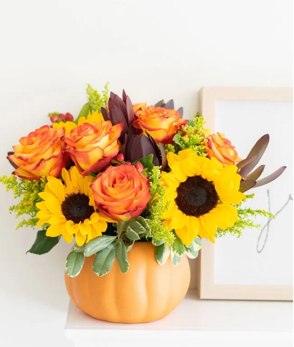 Sunny Fall Pumpkin Sunny Fall Pumpkin - Sunny Fall Pumpkin