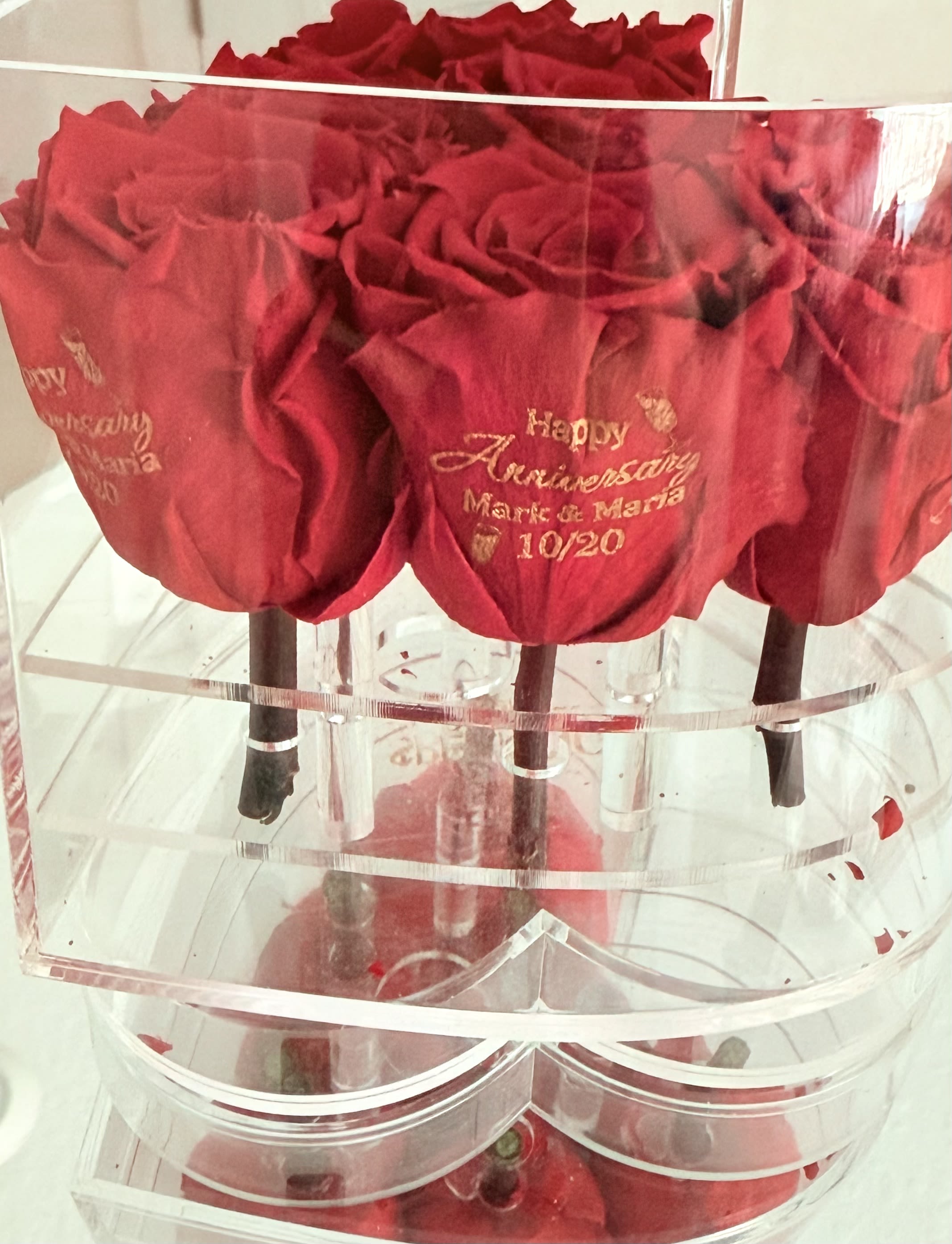 Amor Eterno. Speaking Roses - Caja acrílica con rosas preservadas que perduran por siempre 