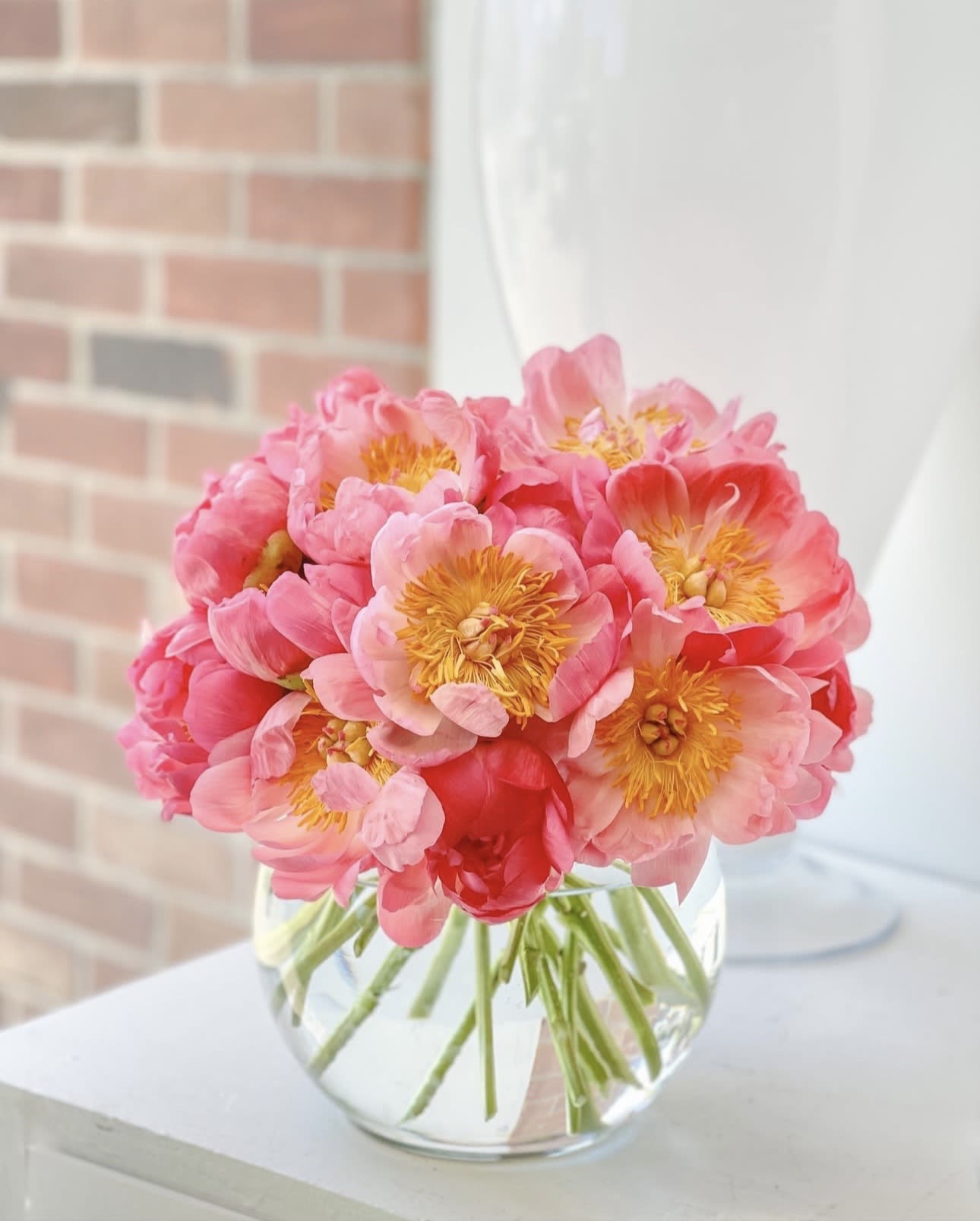 coral charm PEONIES coral charm PEONIES - PEONIES