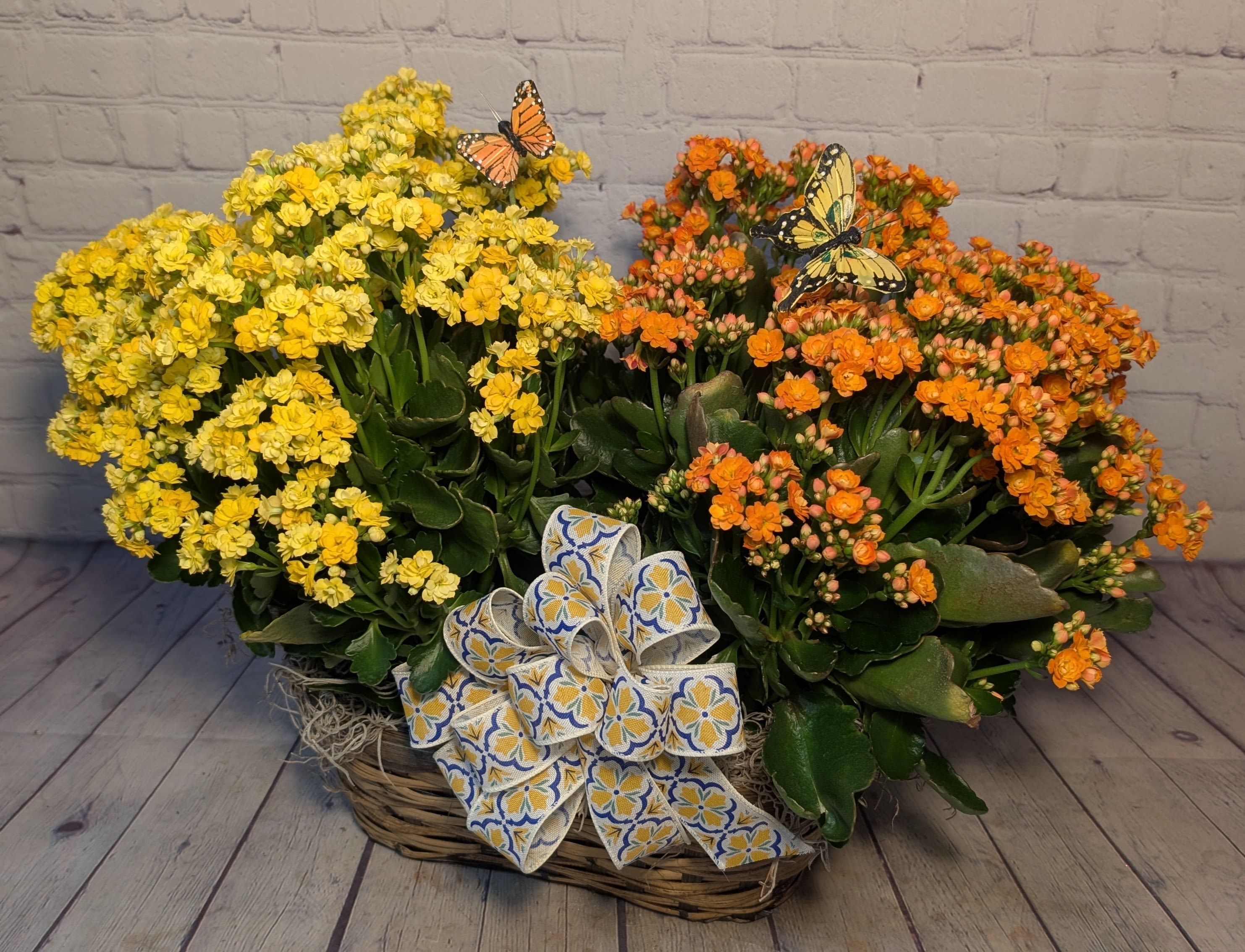 Calandiva Basket - Bright, cheerful, and full of life — our Calandiva Basket brings instant joy to any space. This charming basket features two blooming Calandiva plants, known for their clusters of vibrant color. Finished with delightful butterfly accents, it’s a beautiful gift for any occasion or a perfect pick-me-up for yourself.