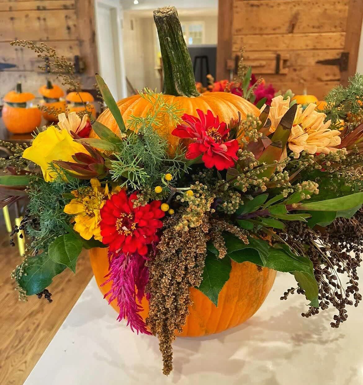 Fall Harvest pumpkin - A great fresh pumpkin with fall assorted flowers spilling out to create a fun gift for all occasions.