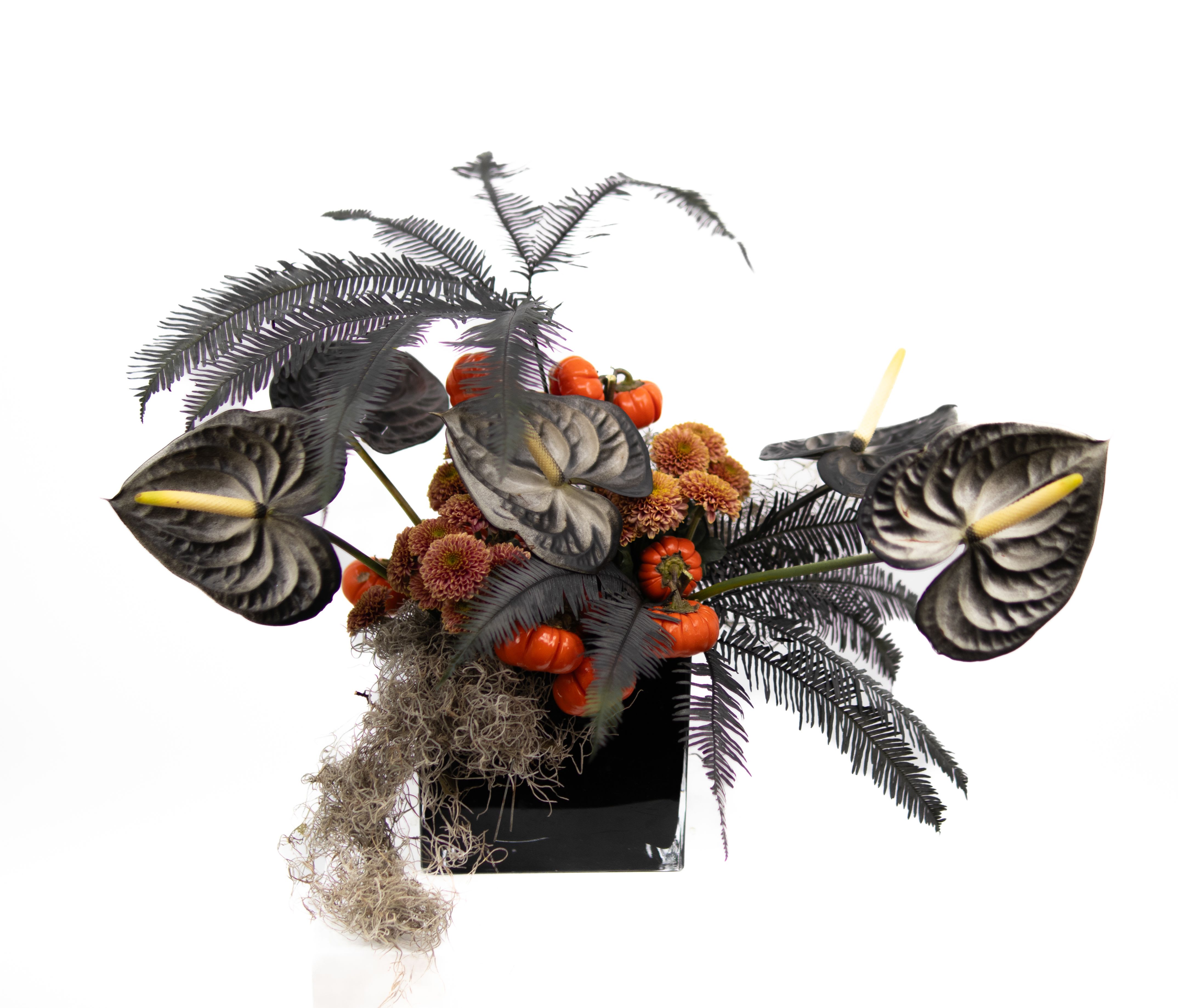 Wednesday Wednesday - An enchanting arrangement featuring striking Anthuriums, delicate micro mums, and unique ornamental stemmed pumpkins, accented with eerie spider-like foliage and webs—perfect for adding a spooky yet elegant touch to any setting.
