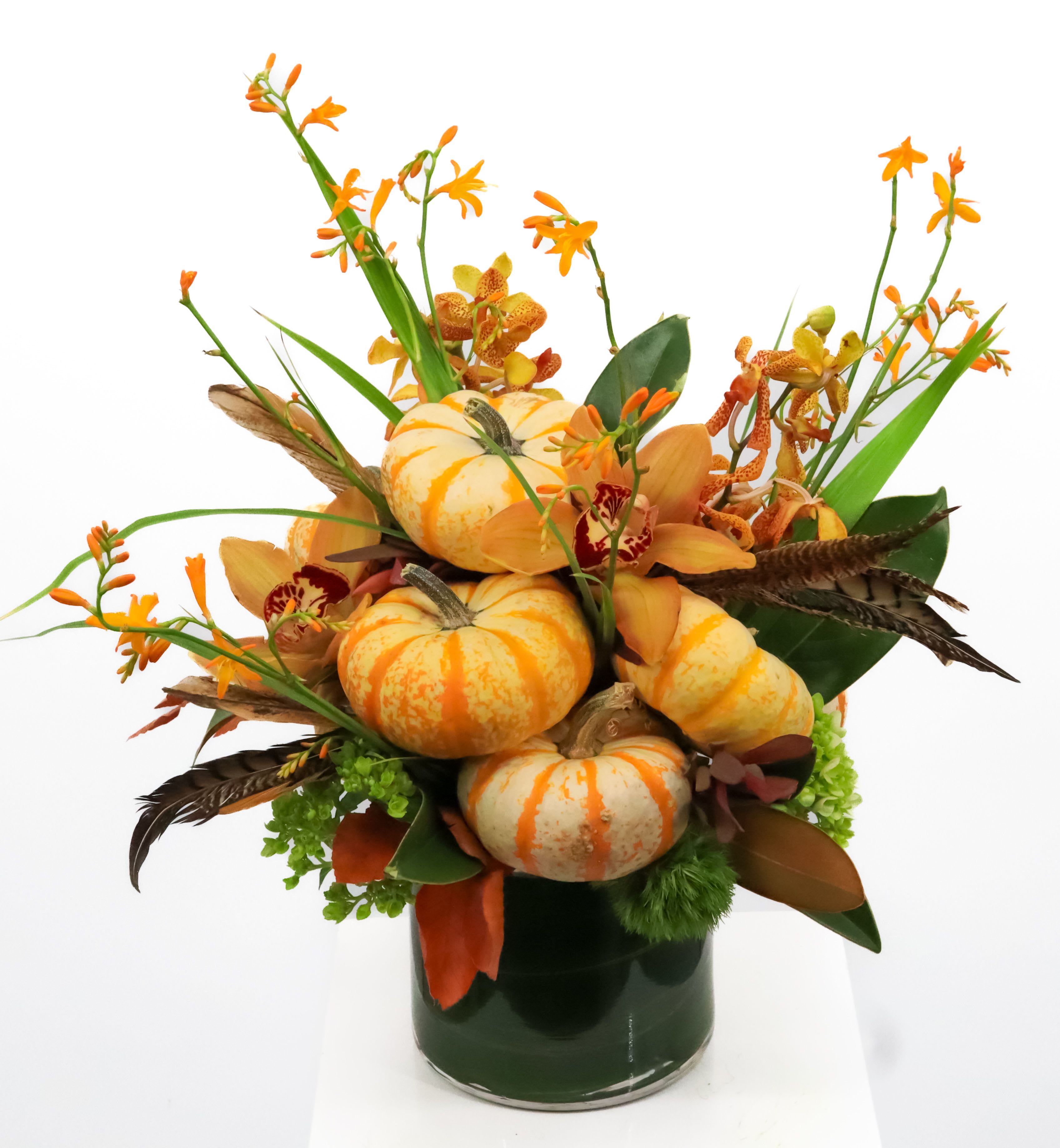 Autumn - A striking autumnal floral arrangement featuring mini pumpkins as charming focal points. It includes elegant Cymbidium and Mokara orchids, adding vibrant pops of color and texture, while rich, glossy Magnolia leaves create a lush, grounding backdrop. Spiky, fiery-hued Crocosmia add movement and energy, perfectly completing this unique and festive display.