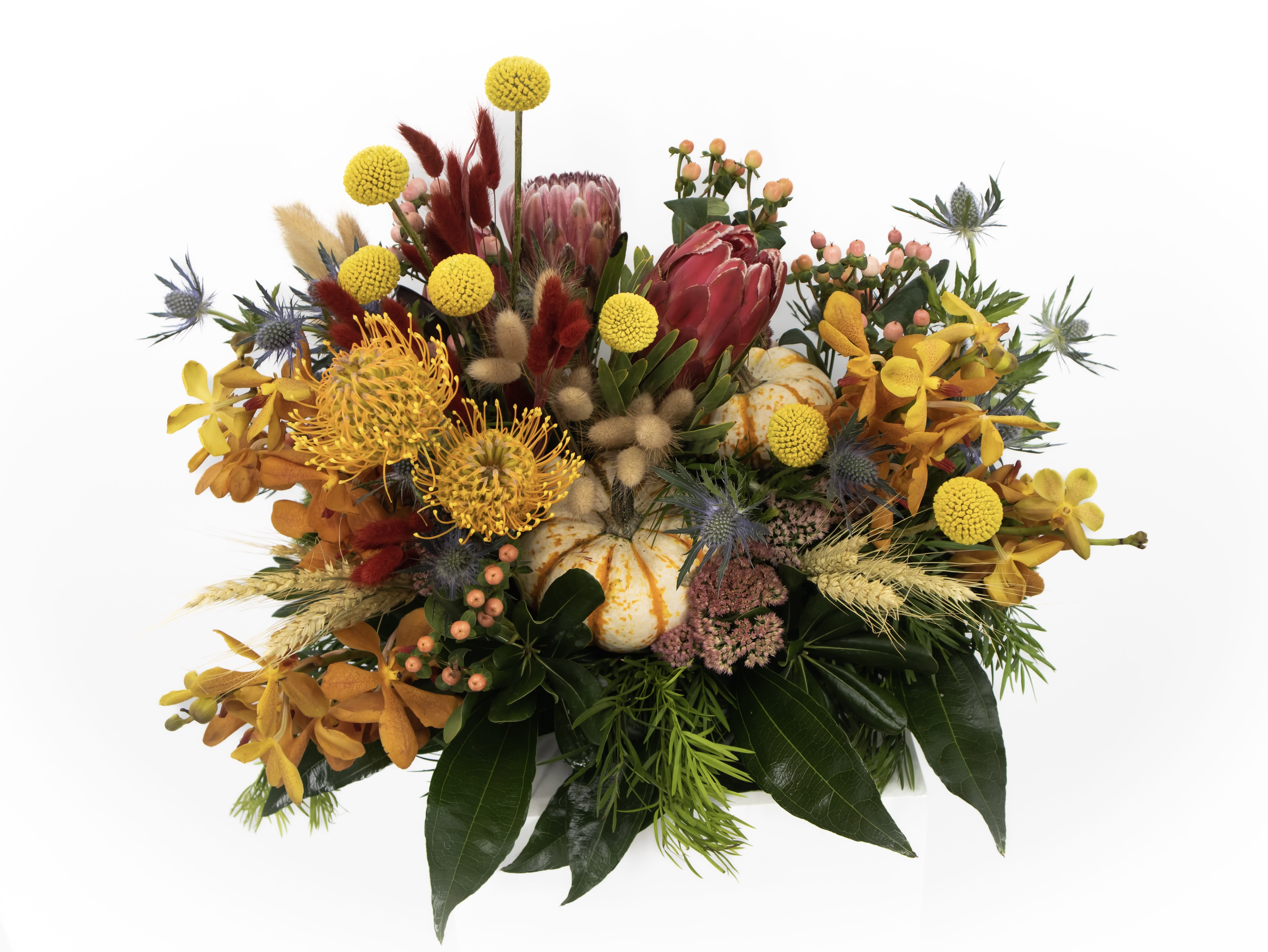 Aspen - A lovely centerpiece for any occasion this autumn. With a mix of harvest grains paired with stunning Proteas , Craspedia &amp; Mokara orchids it will be sure to give any space the Autumn feel that your looking for.