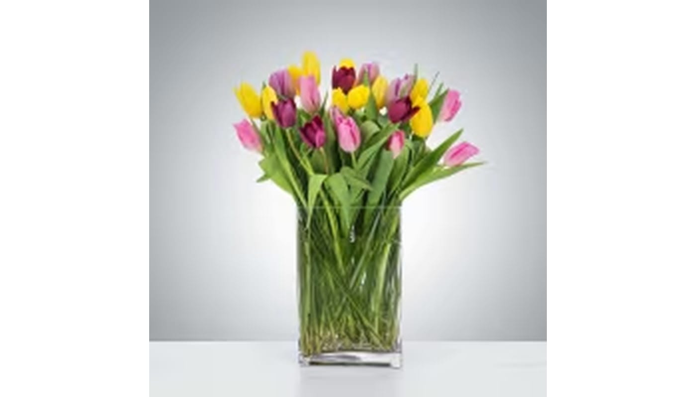 Tulip Blossom in sense 235 Tulip Blossom in sense 235 - In some instances, our photo may represent an overall theme or look and include a one-of-a-kind vase which cannot be exactly replicated. Although the actual bouquet may not precisely match the photo, its temperament will. Occasionally, substitutions of flowers and/or containers happen due to weather, seasonality and market conditions which may affect availability. If this is the case with the gift you’ve selected, we will ensure that the style, theme and color scheme of your arrangement is preserved and will only substitute items of equal value or higher value. If any design elements are of major importance to your order, please include them in the florist instructions at checkout or contact us to ensure availability. Flower Care & Guarantee Policy We guarantee the freshness of our flowers for 24 hours from the time they leave our shop. Please note that because flowers are natural products, some blooms may open fully while others may not. This is a natural variation. To help your flowers last longer: For cut flowers: Trim the stems by 1 inch every 2–3 days and place them in fresh water. For arrangements in wet foam: Add 1 cup of water to the foam every couple of days to keep the flowers hydrated. After 24 hours from leaving the shop, it becomes the customer’s responsibility to care for the flowers properly. Thank you for your understanding and for choosing our shop!