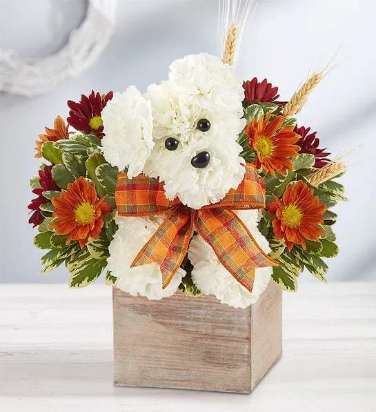 A Dog For Fall A Dog For Fall - Our fall flower pup is a true delight. Crafted from white carnations, with harvest-colored blooms all around, he’s designed in our rustic grey-washed wooden cube, adding warmth and charm of this whimsical gift. Artistically designed in our rustic, natural wood-grain cube container; measures 5"W x 5"L Arrangement measures approximately 12"H x 12"W Our florists hand-design each arrangement, so colors and varieties may vary due to local availability
