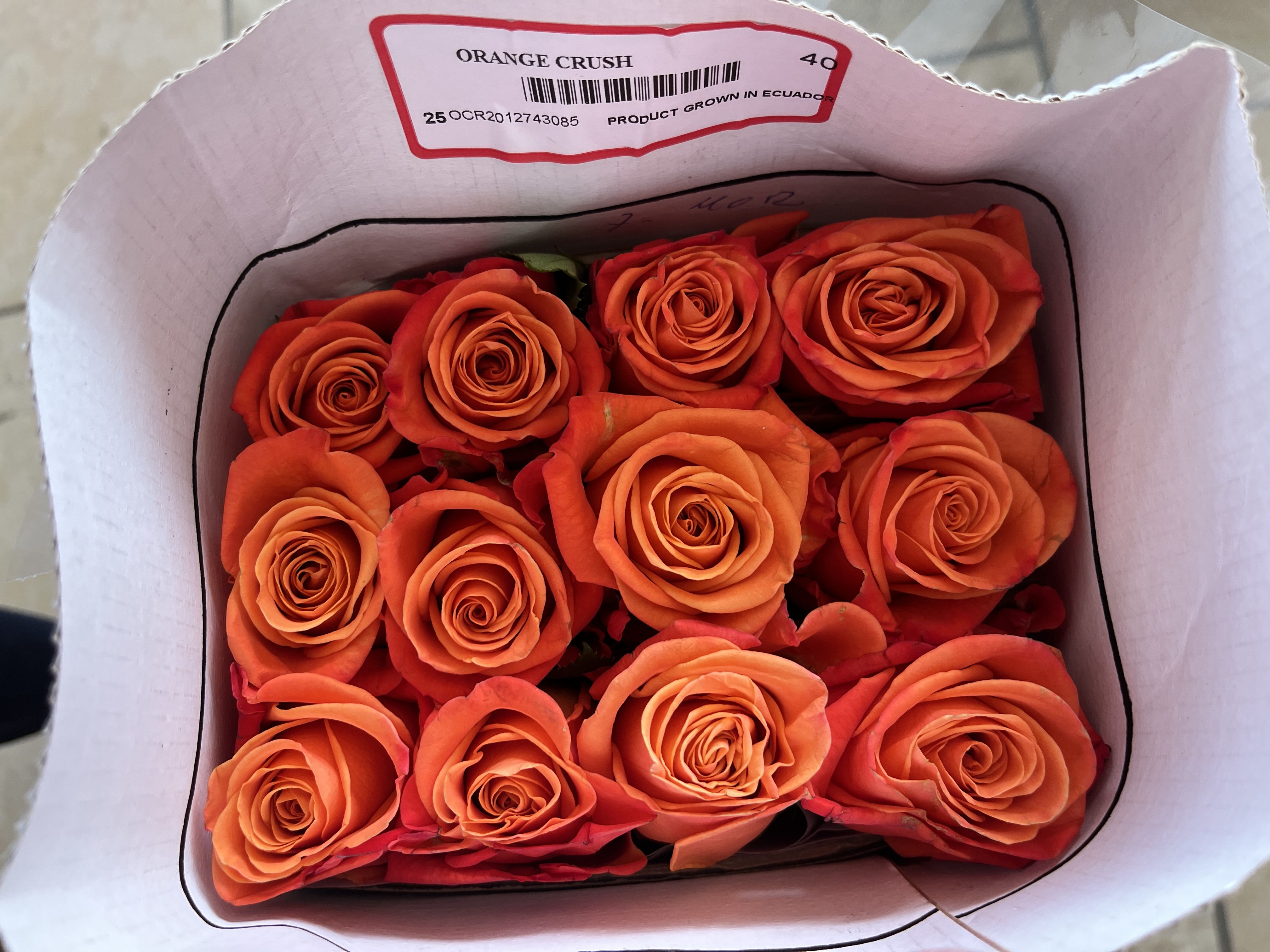 25 stem orange roses - 25 stem orange roses