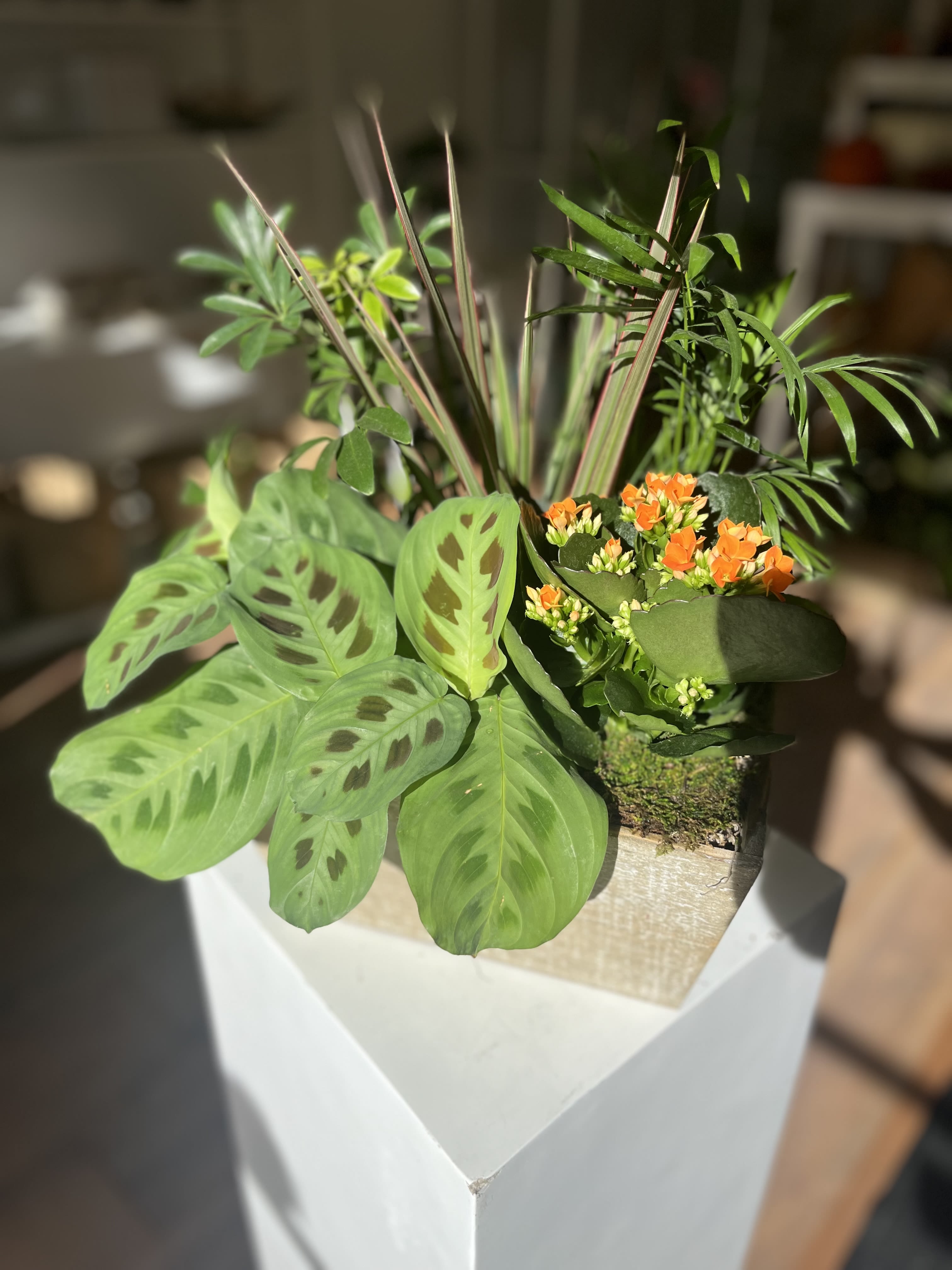 Mixed Plant (Medium) Mixed Plant (Medium) - A mix of flowering plant and greenery.