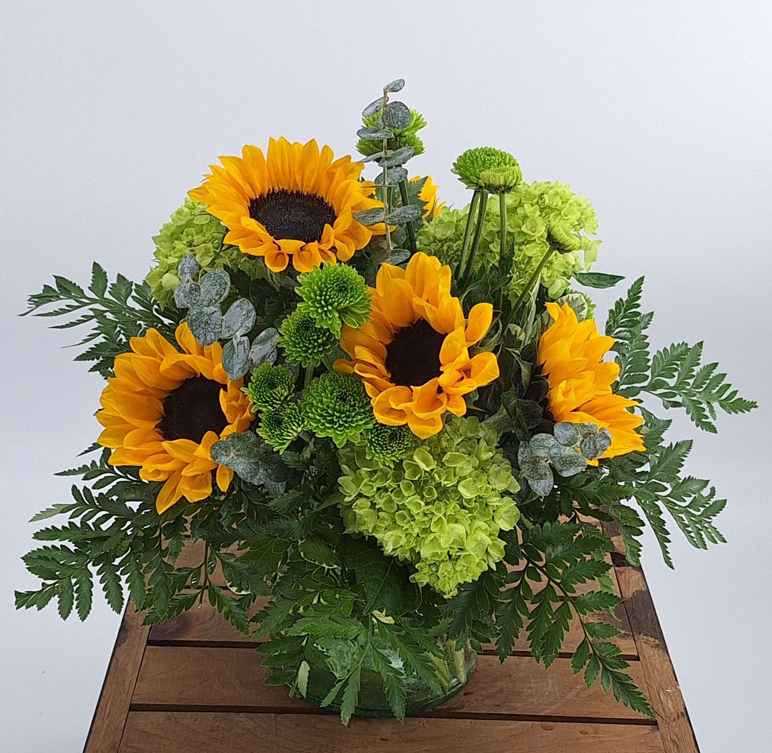 Radiant Sunshine (DL) - Introducing the Radiant Sunshine flower arrangement, a stunning display of vibrant beauty that will leave you amazed. This arrangement features the radiant charm of sunflowers, mini green hydrangea, and the lively green hues of button poms, all thoughtfully arranged in a clear glass vase.  