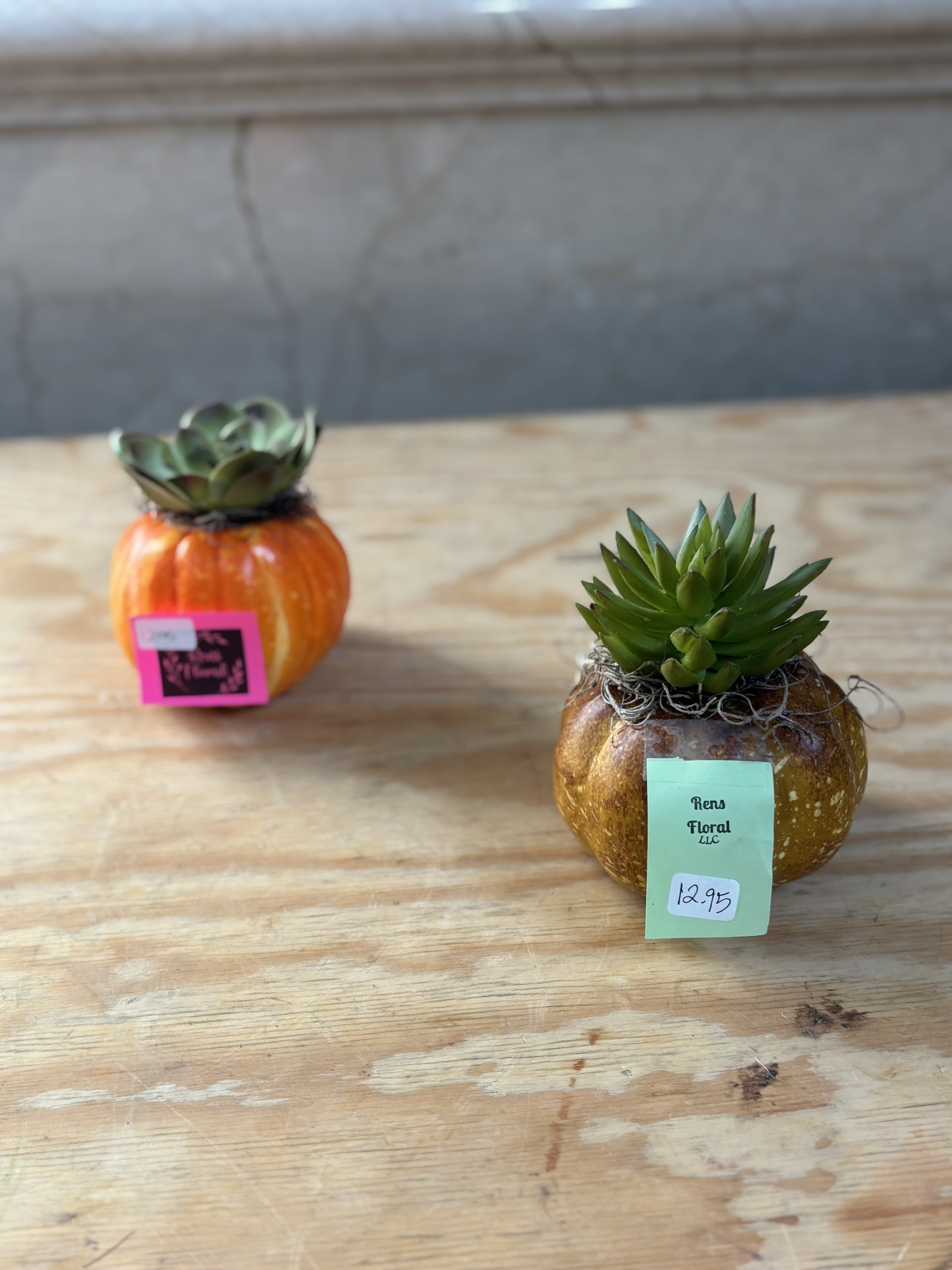 Artificial Pumpkin Succulent Artificial Pumpkin Succulent - An artificial pumpkin with an artificial succulent "planted" inside