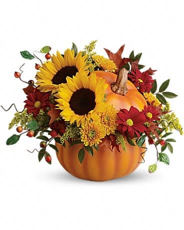 Teleflora's Pretty Pumpkin Bouquet - Radiantly rustic sunflowers and other beautiful blooms in a hand-painted ceramic pumpkin that is truly the pick of the patch. This delightful gift will keep on giving for years - as a vase, candy dish, or objet d'art. The radiant bouquet includes yellow sunflowers, yellow cushion spray chrysanthemums, red daisy spray chrysanthemums, solidago, huckleberry and oak leaves.