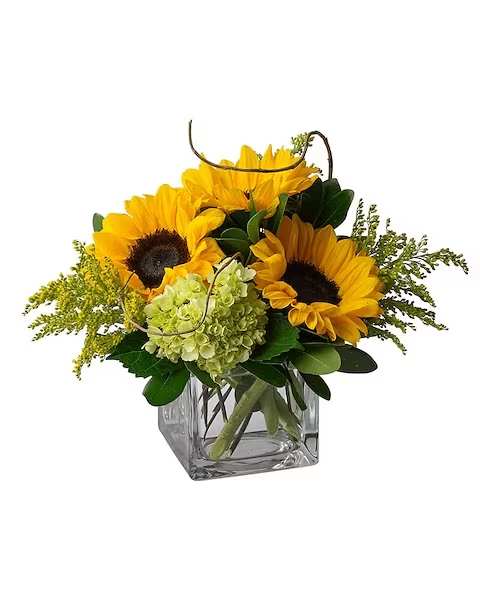 Sunshine Spirit - They will all be cheering! Sunshine Spirit will spread the love. Flowers like sunflowers let this cube bring the spirit.