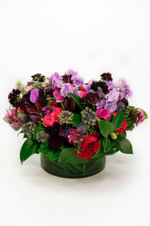 Jewel Tone Garden - Our way of displaying blooms fit for royalty. Jewel tones signify loyalty and luxury at its finest. The beautiful fusion of Sweet Peas, Blue Thistle, Purple Tulips, Garden Roses, Anemones, and Scabiosa, make this arrangement extraordinary. The stunning florals are perfectly adorned with Camellia, Geranium, Zebra, and Galex Leaves for a flawless look.