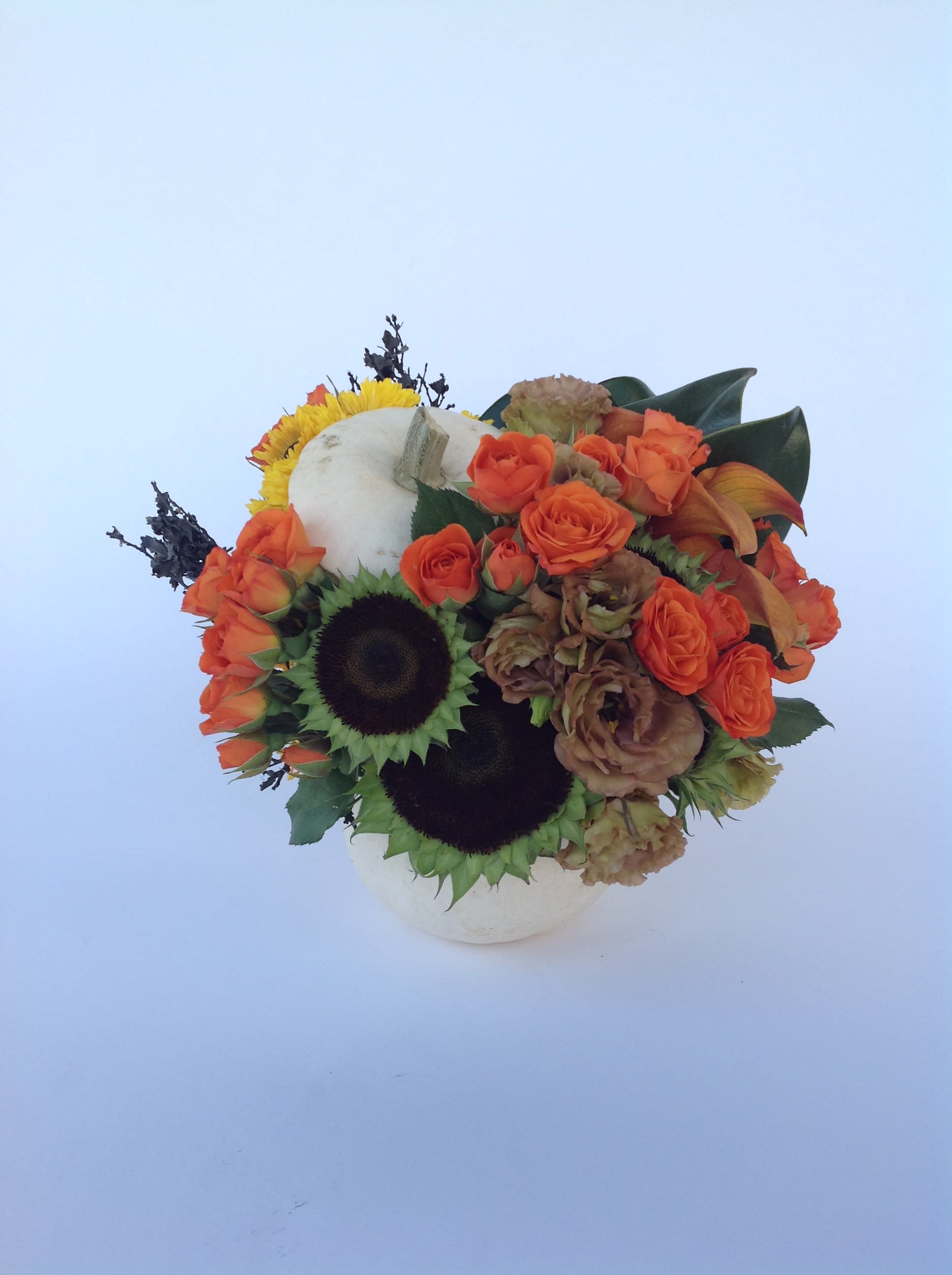 Snuggle Pumpkin - Spray Roses Sunflowers, Calla Lilies,  Lisianthus   