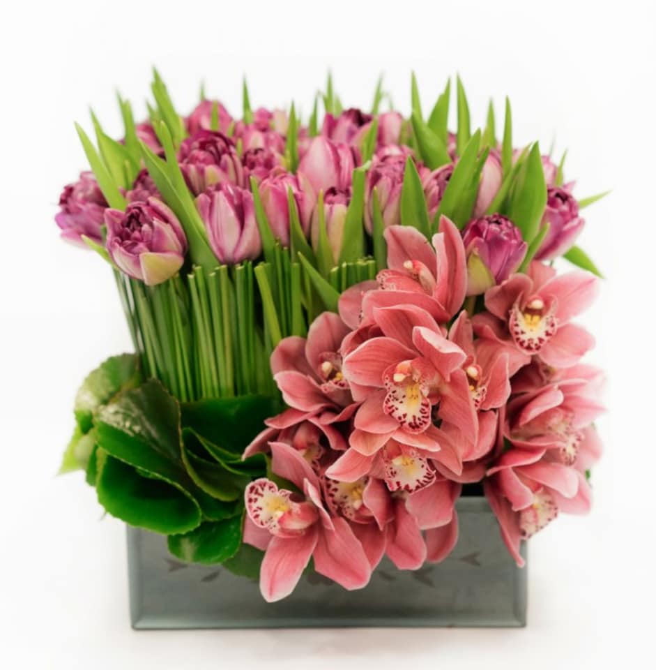 The Stylish - Elegant and opulent Cymbidium Orchids and Tulips come together exquisitely in the Stylish arrangement. The flawless mixture of Galex Leaves and Steel Grass provides the perfect contrast. Celebrate a happy occasion or make someone’s day “just because” with these gorgeous florals.