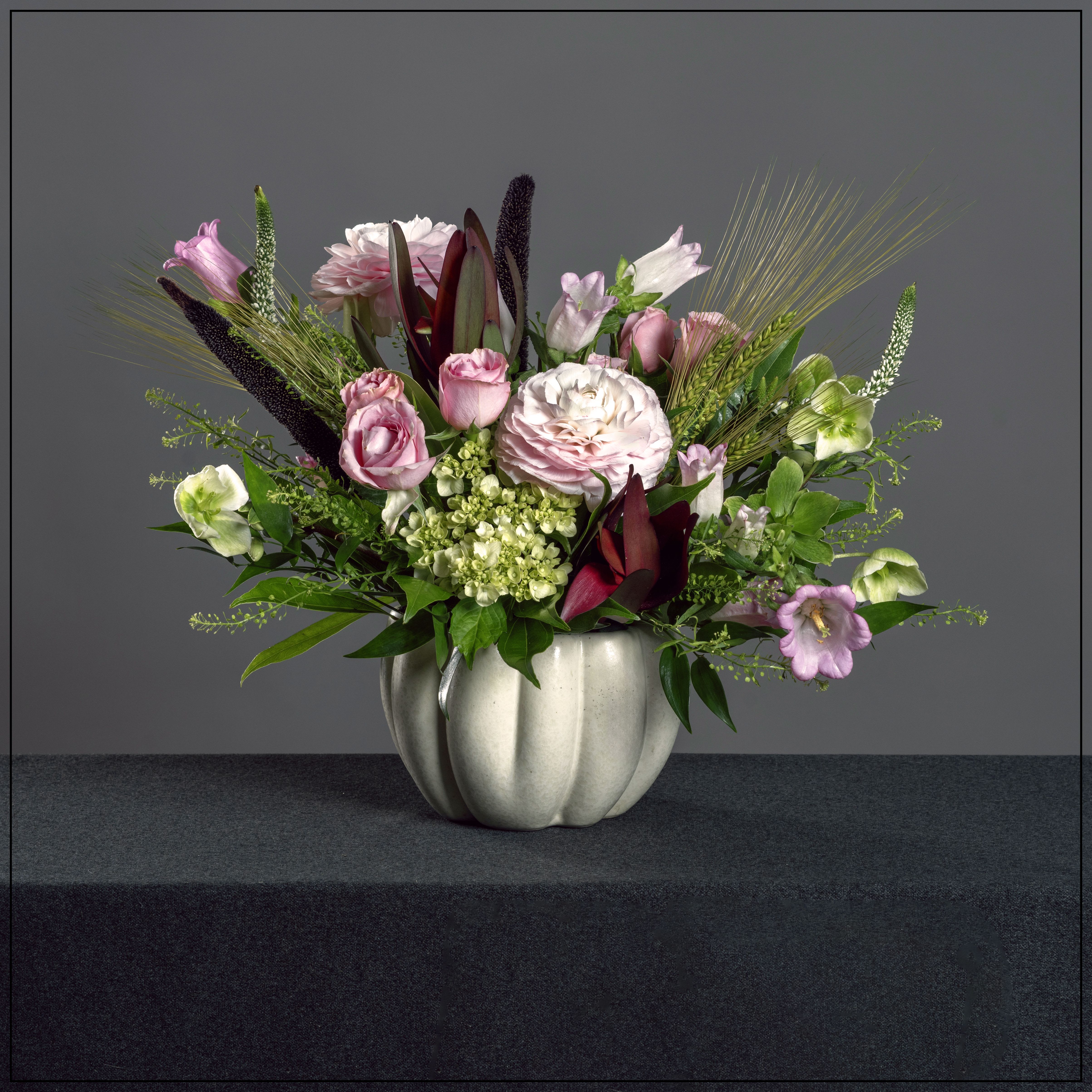 Elsie's Pumpkin Elsie's Pumpkin - A soft collection of ranunculus, hydrangea, spray roses, campanula and hellebore in a small ivory pumpkin. Dimensions: 13" H x 16" W