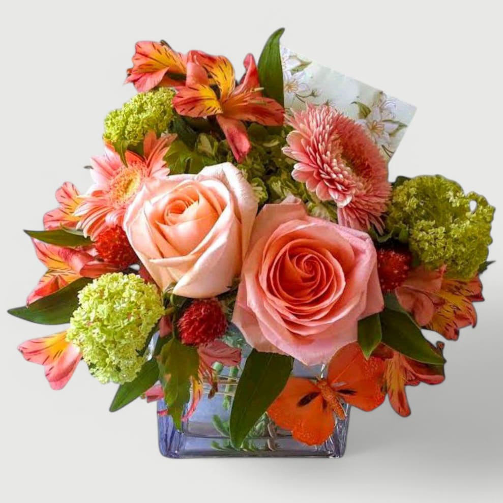 Citrus Peach Beauty Designer's Choice Citrus Peach Beauty Designer's Choice - Send this beauty today to make them smile for any reason filled with blush and yellow blossoms of the day arranged in a modern glass cube vase. Sweet and thoughtful. Always made unique and extra special each time. Send happiness.