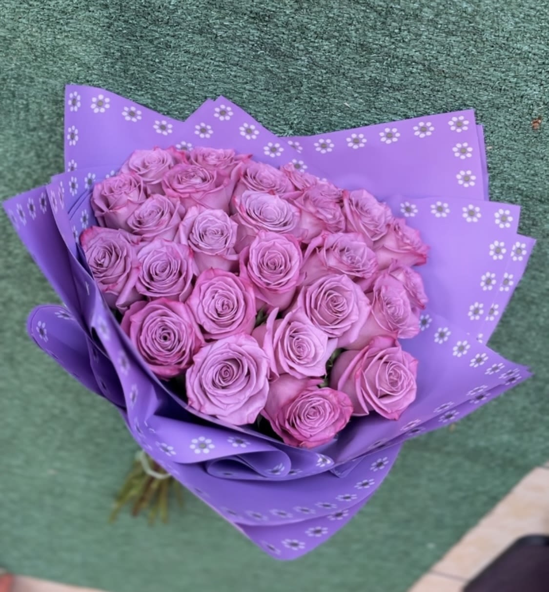 Plummed and plump - 25 long stemmed Ecuadorian purple roses with a purple barro themed waterproof wrap