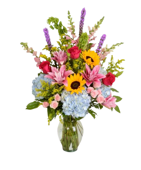 Vibrant Serenity - Fan-style floral design, with a variety of colors from pastels to vibrant hues. Includes: Hydrangeas, sunflowers, pink roses, spray roses, pink lilies, irish bells, pink stock/snapdragon and solidago; arranged in a clear vase with greenery.  Arrangement comes in one size only, Pink lilies may vary pink asiatic, oriental or rose lily, based on availability and season.