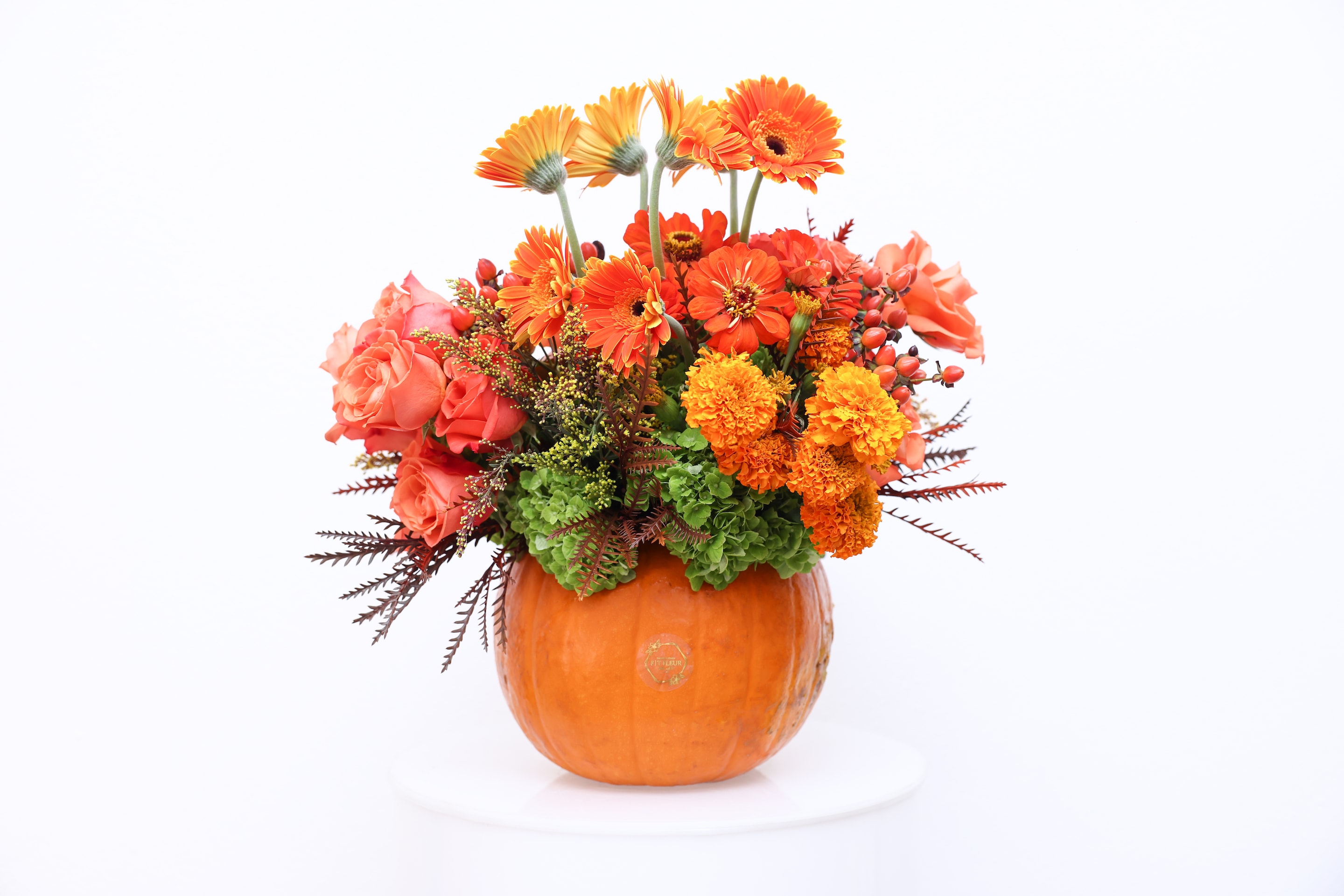 Vivara - Autumn flowers are stunning in a pumkin just from the patch. What a truly gorgeous gift for someone special, or for your dinner table. Designed with hydrangea, roses, peach hypericum berries, transvaal daisies, and Marigold Coco Deep Orange Seed.  Due to the seasonality of flowers or supply chain issues, substitutions may occasionally need to be made. While we understand this is an inconvenience, we will fill your order with an arrangement of similar color and design style.