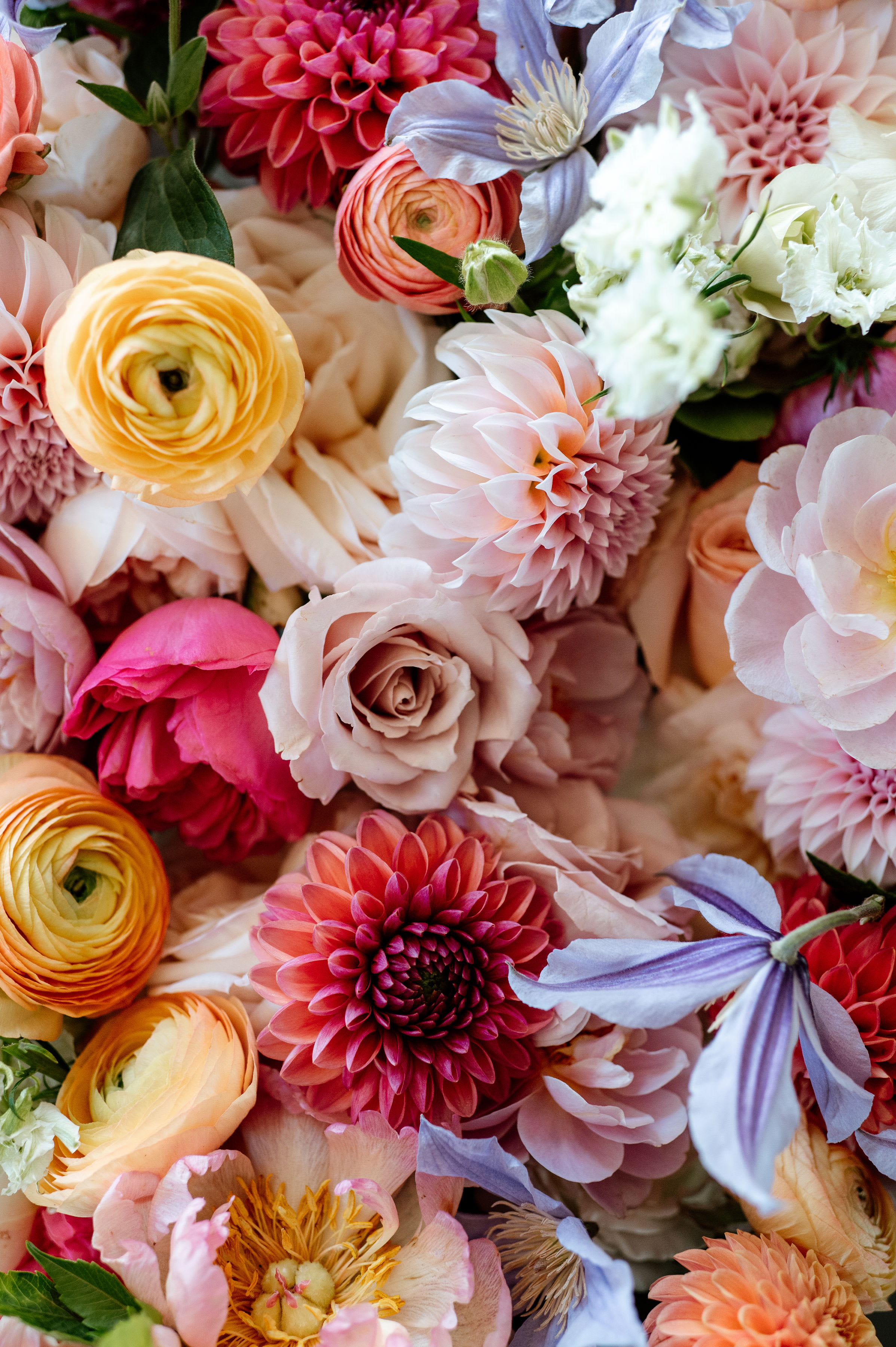 Designer's Choice Arrangement Designer's Choice Arrangement - Designer's choice arrangement. This not only allows our talented designers to get creative and design in their favorite style, but also gets you the best value because they won't be limited to using specific blooms. Designs will vary, but you are guaranteed a fresh and stunning seasonal arrangement.