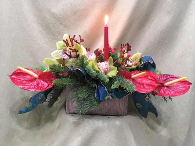 Anthurium Dream - Anthurium , Kangaroo Paw ,Milk Thistle , Cymbidium Orchid 