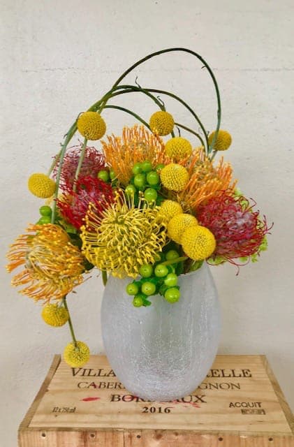 New Generation - Protea flowers , Kraspedia , green 