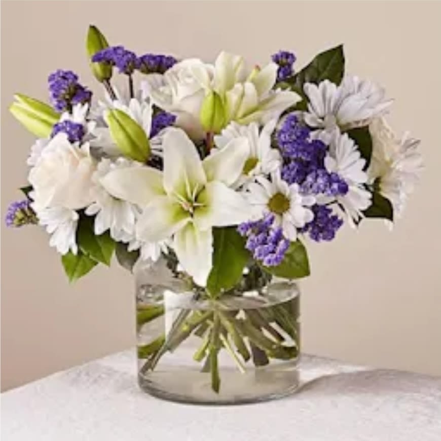Daisy&Roses Daisy&Roses - It was designed to give to someone special to you