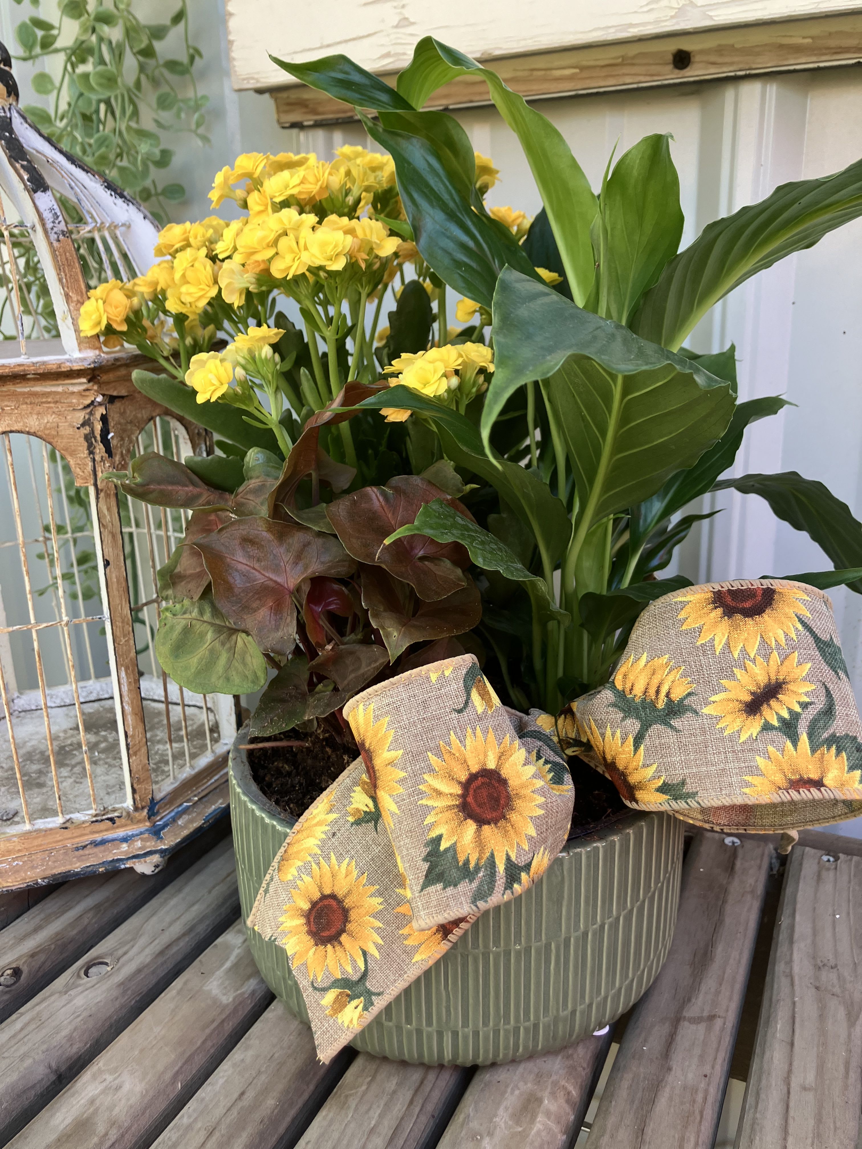 Fall Dishgarden Fall Dishgarden - Ceramic container with fresh green and blooming houseplants!