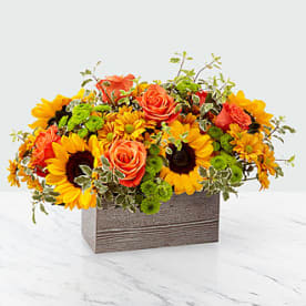 Box of Sunflowers Box of Sunflowers - a woody box fill with mostly sunflowers, oranges roses and other beautiful fall flowers