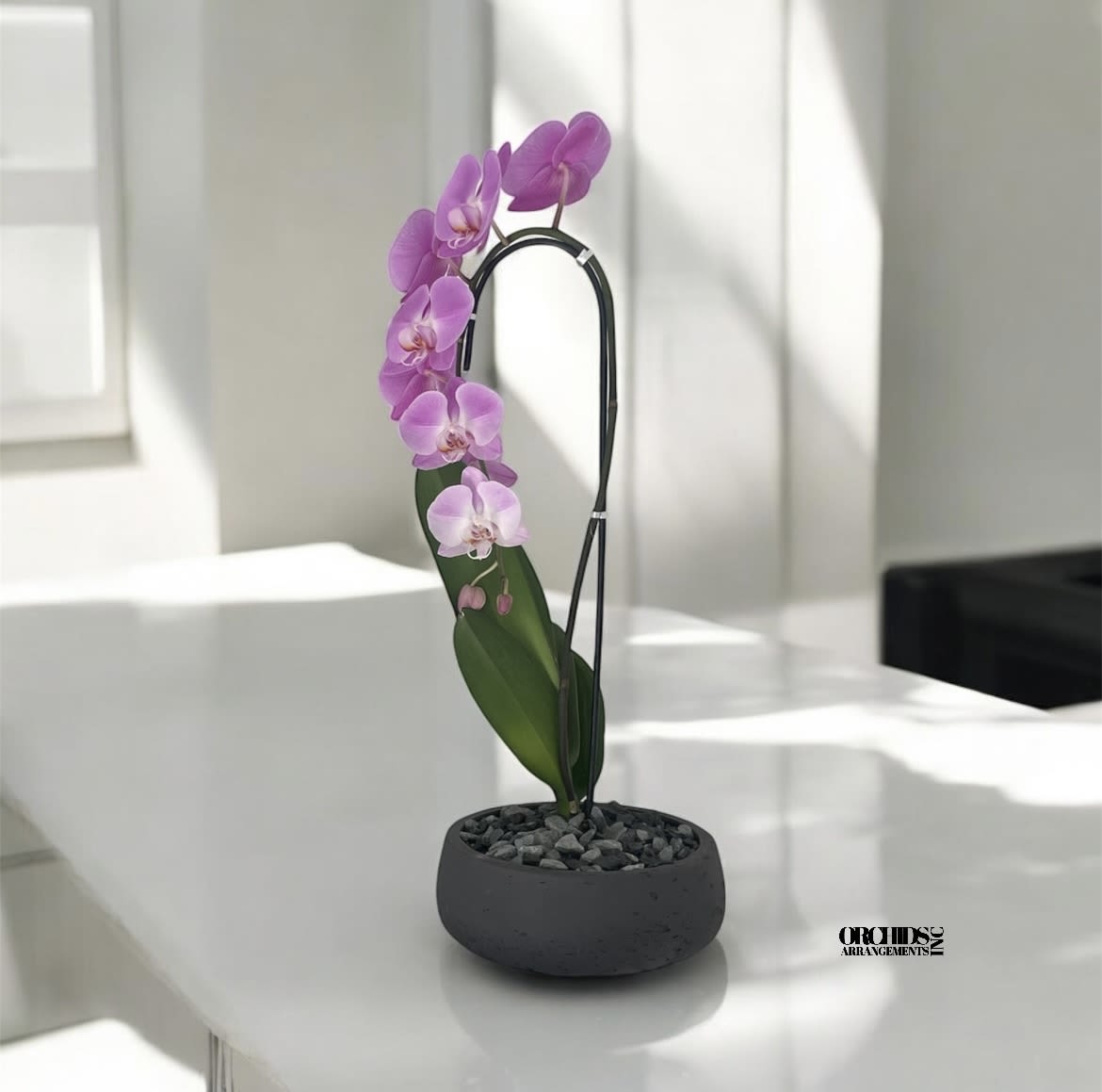 Orchids Phalaenopsis Miami Bright Arrangements  - A high quality Single pink orchid arrangement with a vase 8.5&quot; D X 3&quot; T. An orchids arrangement deliver for any occasion design with fresh natural real beautiful Phalaenopsis cascade orchids plants minimalist decor.