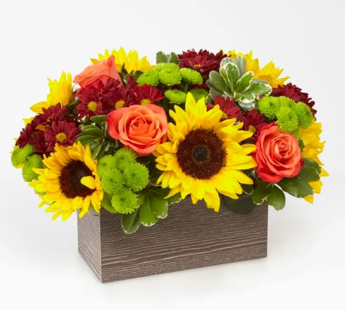 Happy Harvest Garden™ (F3) Happy Harvest Garden™ (F3) - Savor the freshness of fall with our Happy Harvest Garden. Packed with a collection of orange roses, bright sunflowers and butterscotch daisy pompons, this arrangement is a gorgeous gift for any occasion this Autumn. Whether it's for an inviting centerpiece or festive décor in any room, these blooms are sure to bring smiles all season long. Size is approximate. 10"H x 16"W