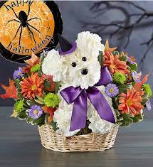 Witchy Pooch Witchy Pooch - send this adorable witchy Pooch for your Halloween love ones!