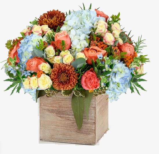 Seaside Sunset Arrangement Seaside Sunset Arrangement - As the seaside sunset paints the horizon in glowing orange and soft blue, the scene comes alive in blooms — light blue hydrangeas echo the calm of the sea, cream spray roses whisper with elegance, sunset-hued roses mirror the warmth of the fading sun, while delicate blue oxy and chrysanthemums drift like stars in the twilight sky.