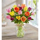 TULIPS BOUQUET TULIPS BOUQUET - 12 MIX TULIPS IT MAY CHANGE COLORS
