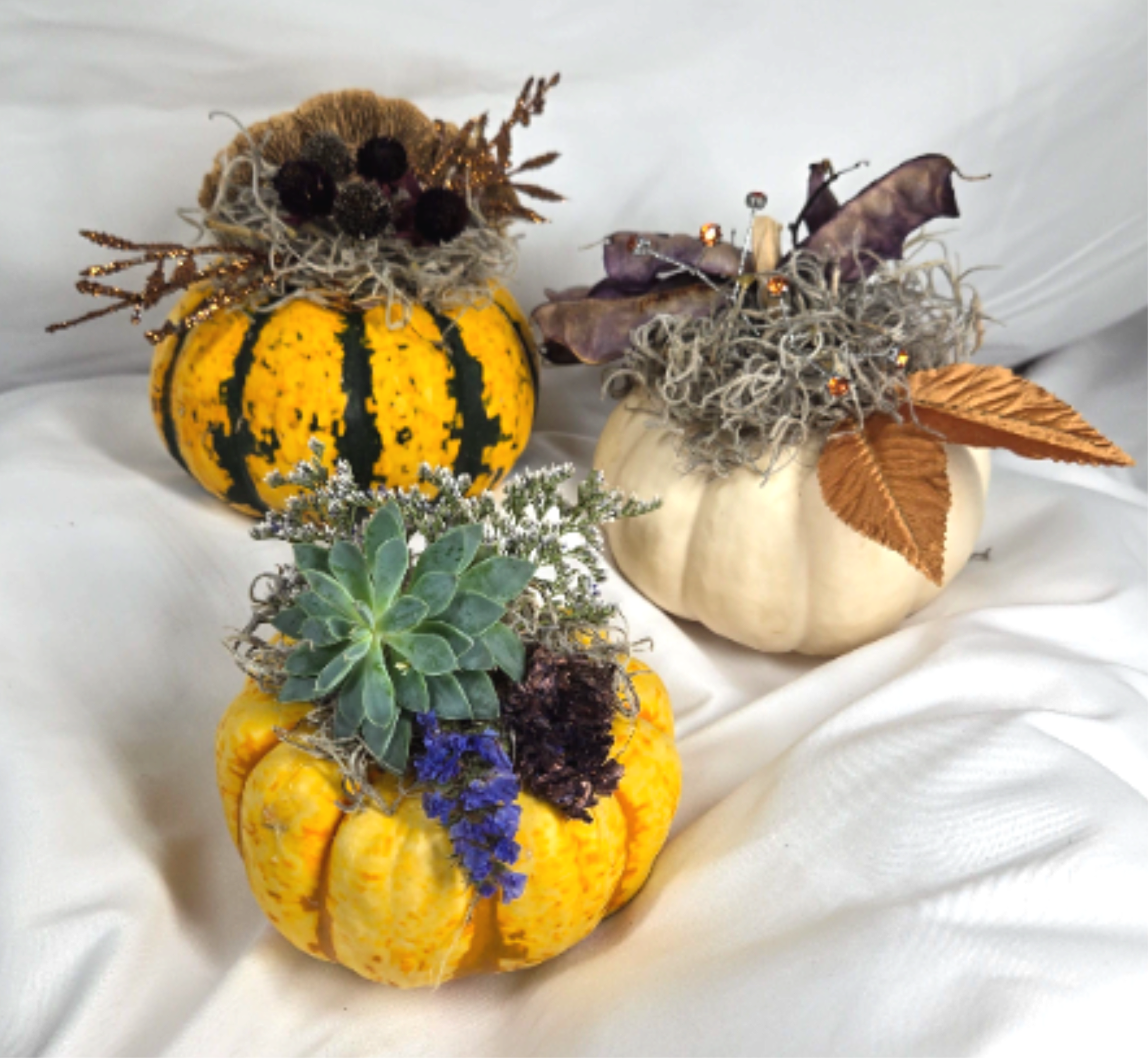 Autumn Pumpkin Trio - A delightful display of three real Fall pumpkins, grown right here on a small Pennsylvania farm.  There is a live succulent on one pumpkin that will last for weeks as a decorative element, of can be planted to enjoy on it's own. Each pumpkin is decorated with dried local natural elements and other whimsical touches to bring a smile throughout the entire Fall season. Just as in nature, each pumpkin is unique, and may differ in markings from the group pictured here.
