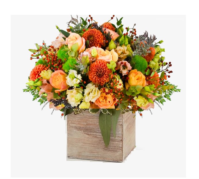 Golden Harvest Arrangement Golden Harvest Arrangement - A celebration of autumn’s golden glow. Golden Harvest gathers the richness of the season in a radiant blend of yellow roses, burnt-orange dahlias, and rosy hips, accented by the textured greenery of autumn eucalyptus. Each stem is chosen to capture the warmth of falling leaves, the glow of late sunsets, and the cozy abundance of harvest time.