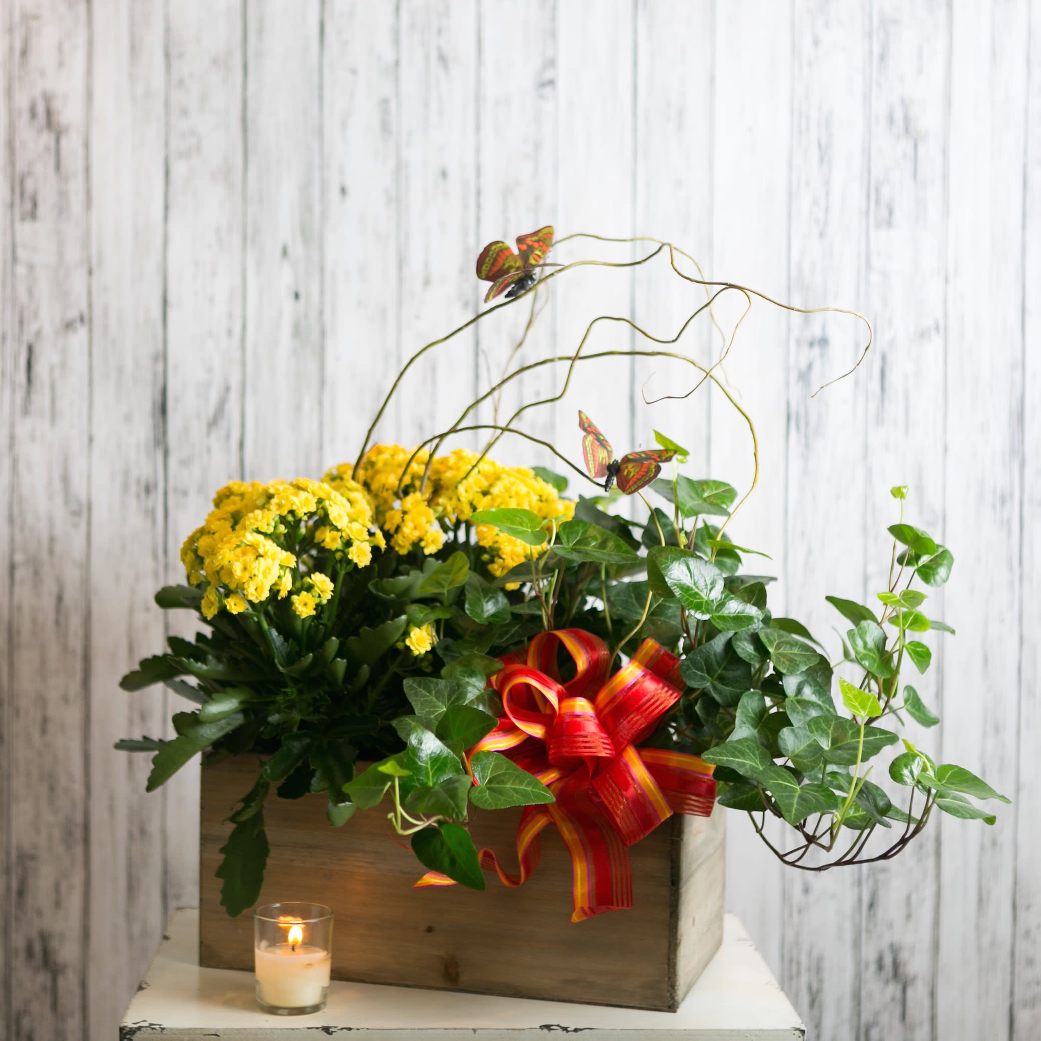 Flight - Bright the outdoors inside with monarch butterflies hovering above a yellow flowering plant and trailing ivy.  A long lasting gift sure to bring sunshine!  Approximate Dimensions: 22&quot; H x 24&quot; W