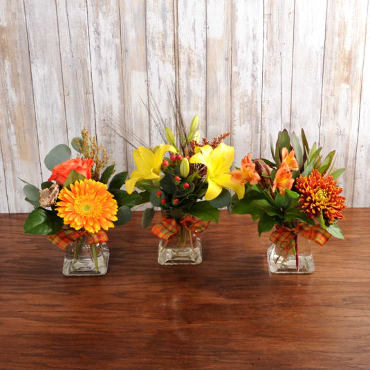 Gobble Gobble Gobble Gobble Gobble Gobble - This trio set is a beautiful addition to any home during the holidays! Whether displayed together as a run down the center of your table or separately throughout the house, these arrangements add a special touch! The Deluxe gets you 4 vases and the premium is a 5 vase run!
