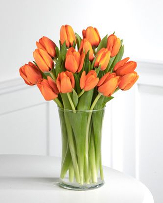 Autumn Fire Tulip Bouquet Autumn Fire Tulip Bouquet - Brighten someone's day with fifteen fresh cut orange tulips delivered by overnight courier with a quality glass vase included. Great for a thank you, feel better, or any Autumn occasion. Who says you can't have a little Springtime in the Fall?
