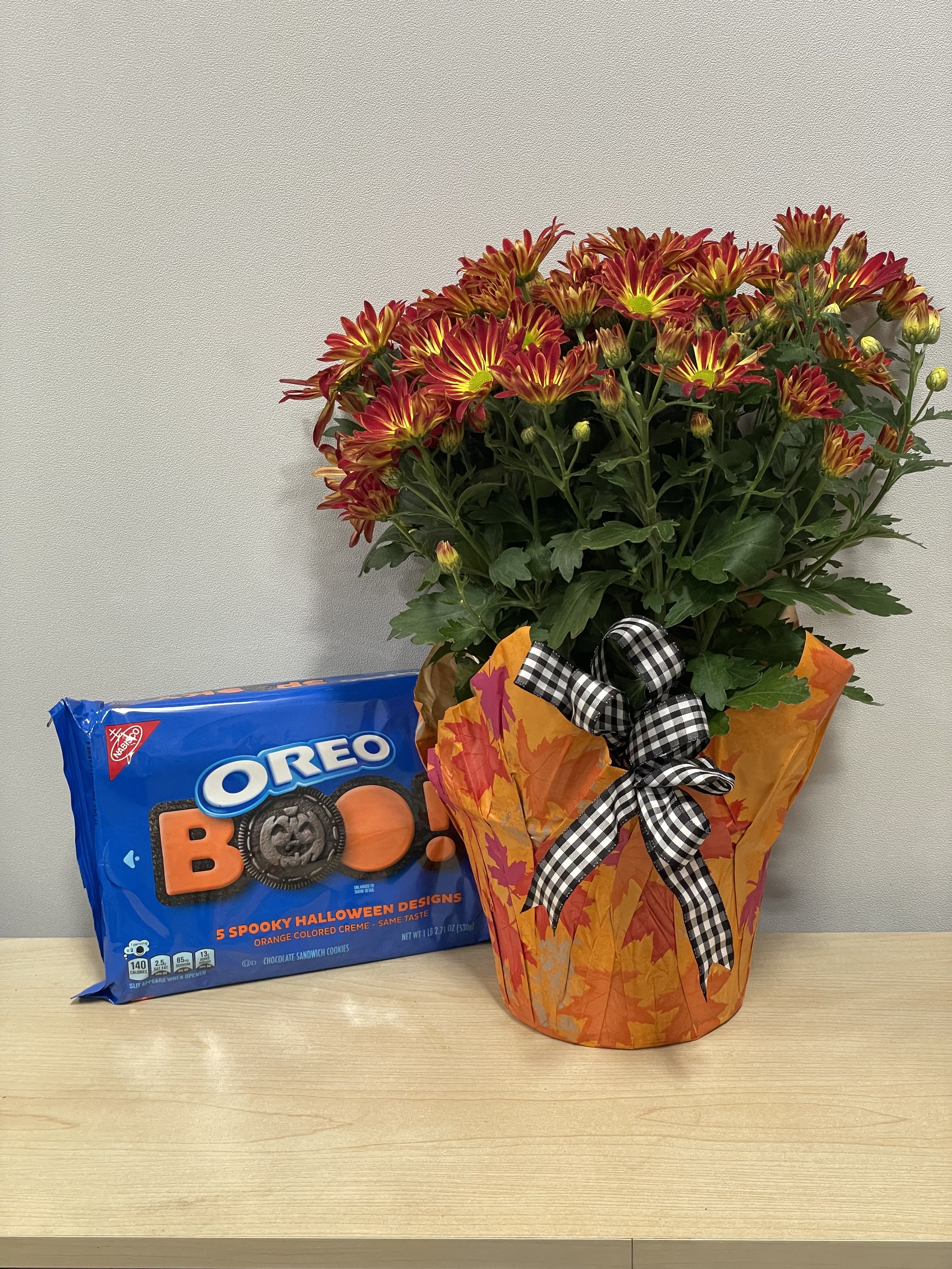 Daisy Plant &amp; Boo Oreos - As shown 