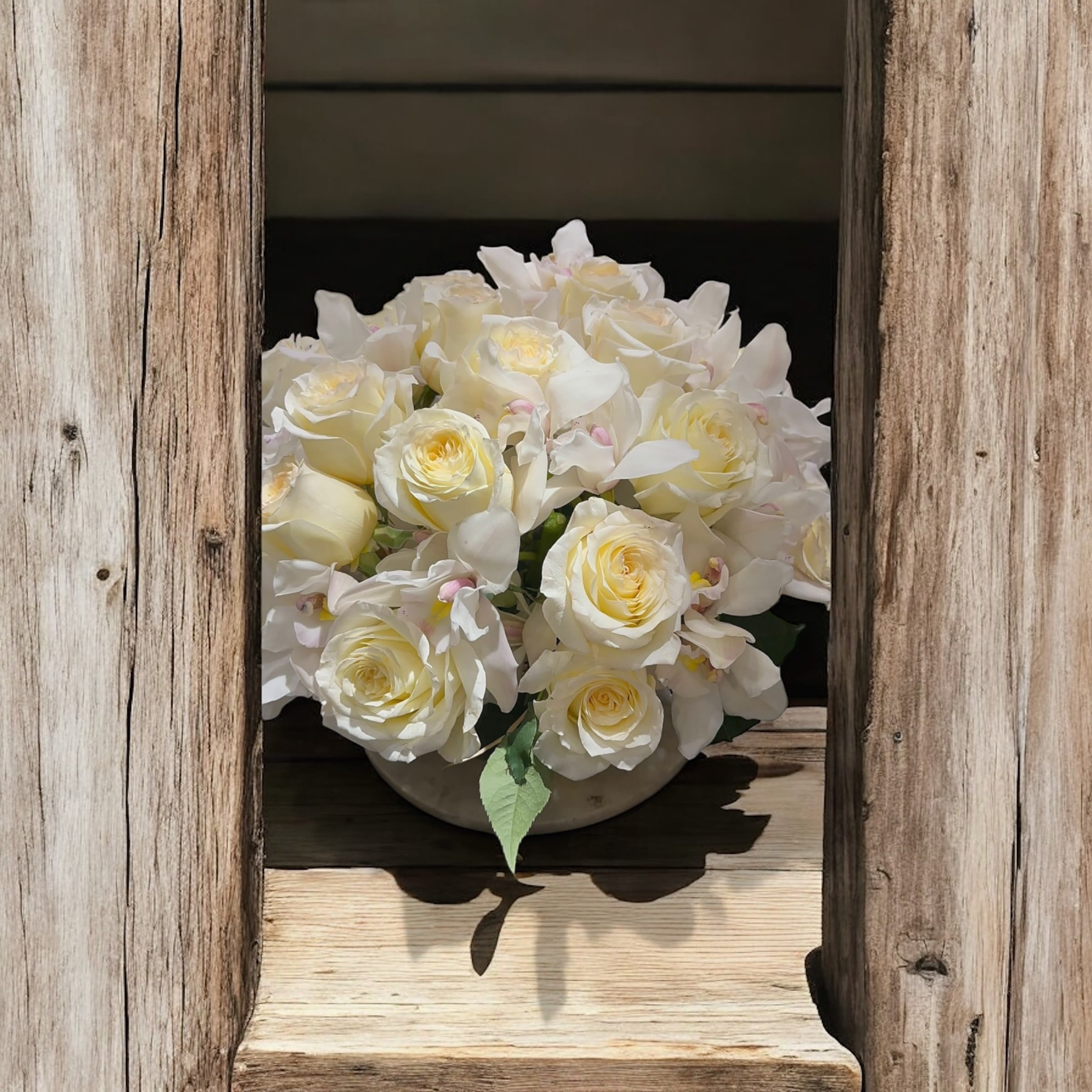 SWEETIE PIE  -  white cymbidium. with white roses  