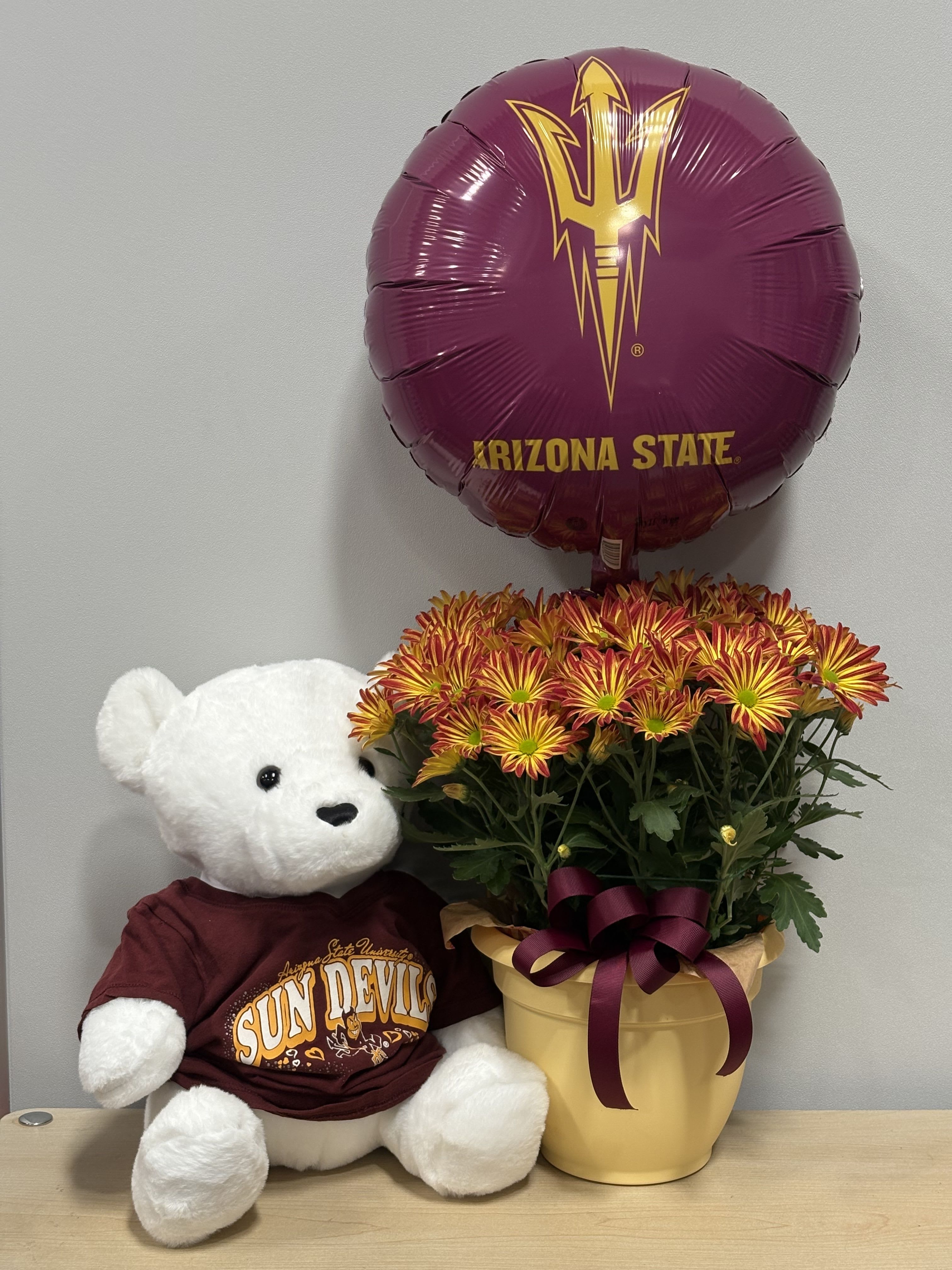 Sun Devil Daisy Plant & Bear Trio Sun Devil Daisy Plant & Bear Trio - As shown