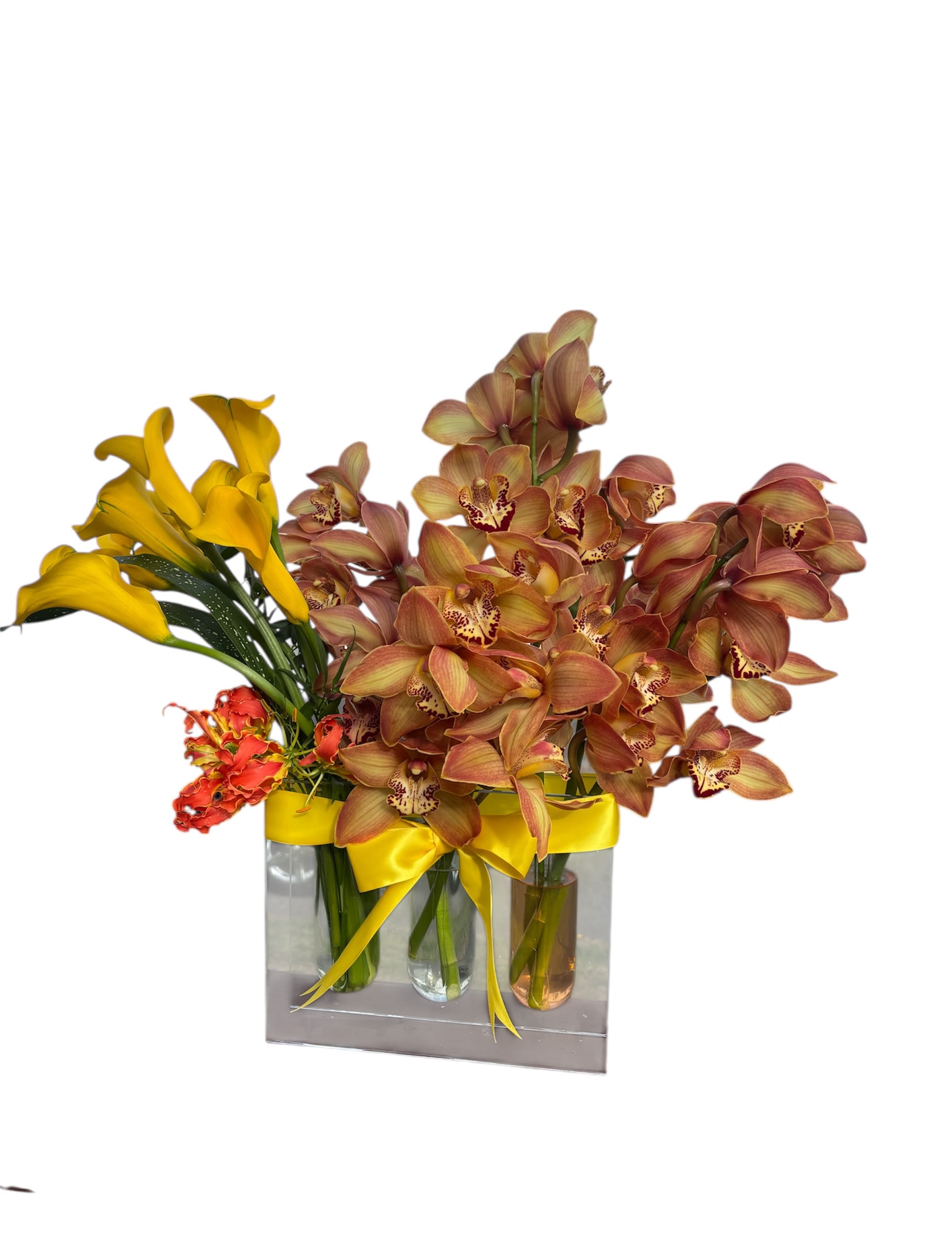 Golden Harvest Golden Harvest - This is not a single bouquet, but a beautiful collection of individual, high-value stems into a trio of modern glass vase. The arrangement features Yellow Calla Lilies and a display of bronze-toned Cymbidium Orchids. Tied together with a cheerful satin ribbon, this piece is a striking, contemporary choice that brings a touch of curated gallery style to any space. It’s perfect for someone who appreciates modern design and the individual beauty of each bloom.