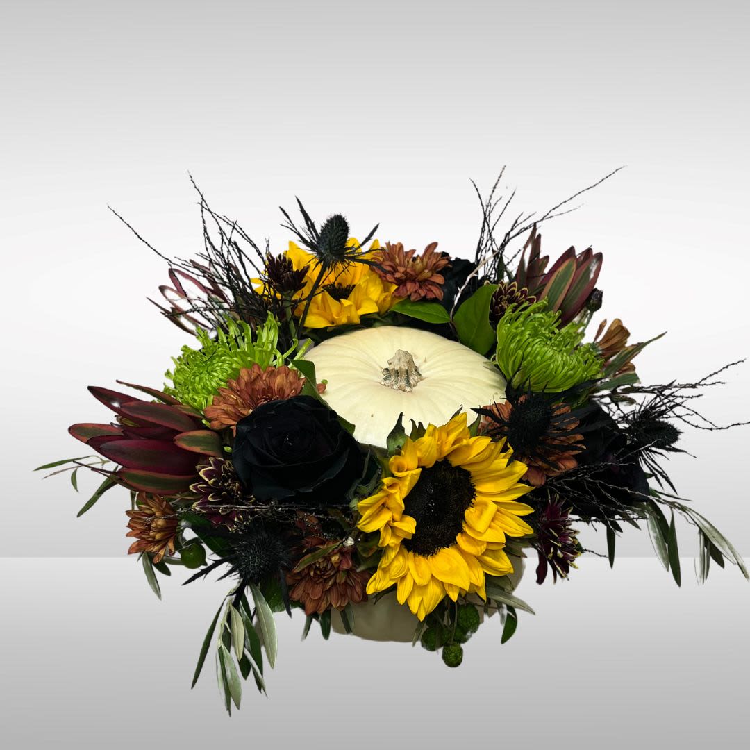 Fall Neutrals in Natural Pumpkin - Recipe: Sunflowers Fall Daisies, Black Roses, Green Fuji Mums, Black Eryngium, Safari, Olive branches, and Eucalyptus in a medium sized white, natural pumpkin. Availability: Autumn Design View: All Facing View Photo shown: Standard