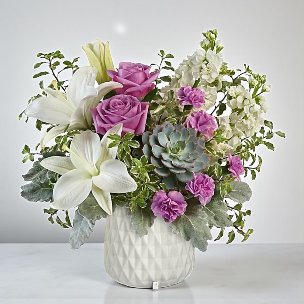 Garden Oasis Bouquet - This super chic, mid-mod masterpiece pairs a luxe living succulent with lush blooms in a stylish white ceramic planter, two gorgeous gifts in one! Perfect for all occasions, this bouquet is sure to impress with its unique combination of flowers and expertly arranged design. Experience the beauty of fresh floral arrangements with the Garden Oasis Bouquet.  This gorgeous bouquet includes lavender roses, white asiatic lilies, lavender miniature carnations, white stock, pitta negra, dusty miller, and a large echeveria succulent plant. Delivered in White ceramic planter( Please note that we no longer carry the Teleflora's Mid Mod Geometric Planter shown in the photo). Orientation: One-Sided Standard: 13 1/4&quot; H X 14 3/4&quot; W, Deluxe: 15 3/4&quot; H X 16 1/4&quot; W, Premium: 16&quot; H X 17 1/4&quot; W  