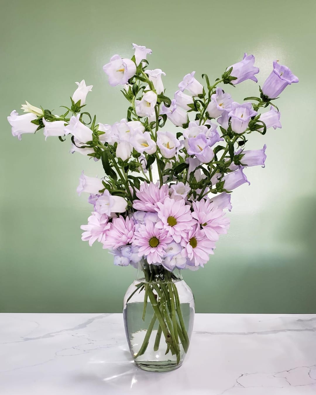 Soft Bells - This delicate arrangement has lavender campanula bell flowers, lavender daises, and a lavender hydrangea in a clear glass ginger vase.